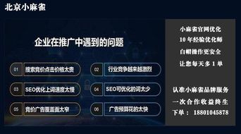 北京網(wǎng)站自然優(yōu)化 全面打造卓越互聯(lián)網(wǎng)品牌形象與數(shù)據(jù)服務(wù)